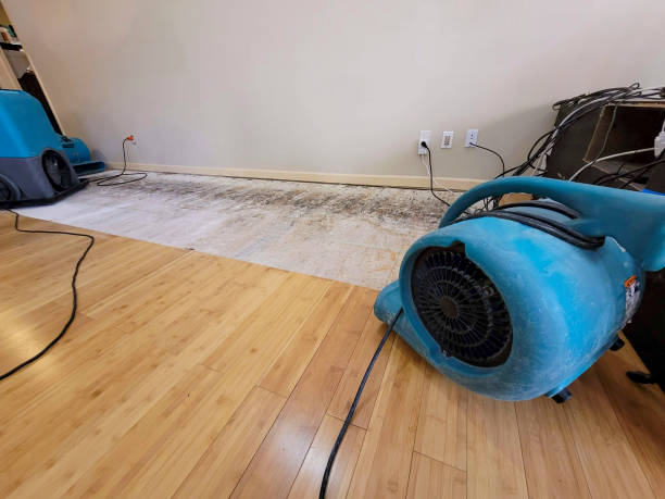 Professional Structural Drying technician working in Litchfield, ME